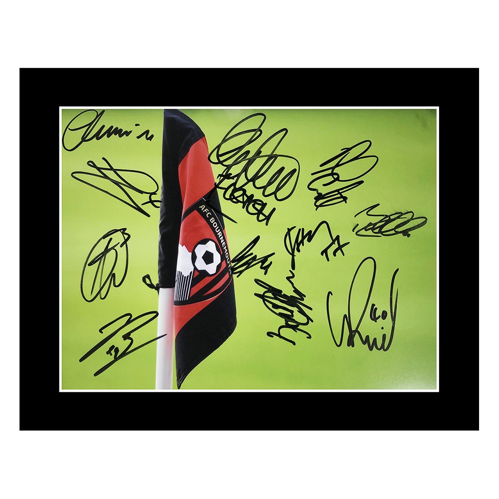 Signed AFC Bournemouth Photo Display - 16x12 Championship Squad Autograph