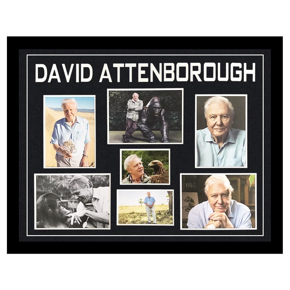 Signed David Attenborough Framed Display Large - Planet Earth Icon Autograph