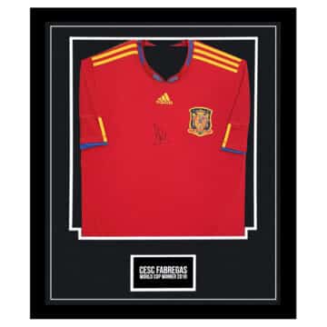 Signed Cesc Fabregas Framed Spain Shirt - World Cup Winner 2010