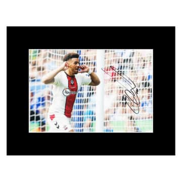 Signed Che Adams Photo Display - 16x12 Southampton Icon