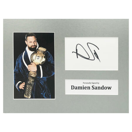 Signed Damien Sandow Photo Display - 12x8 Wrestling Icon