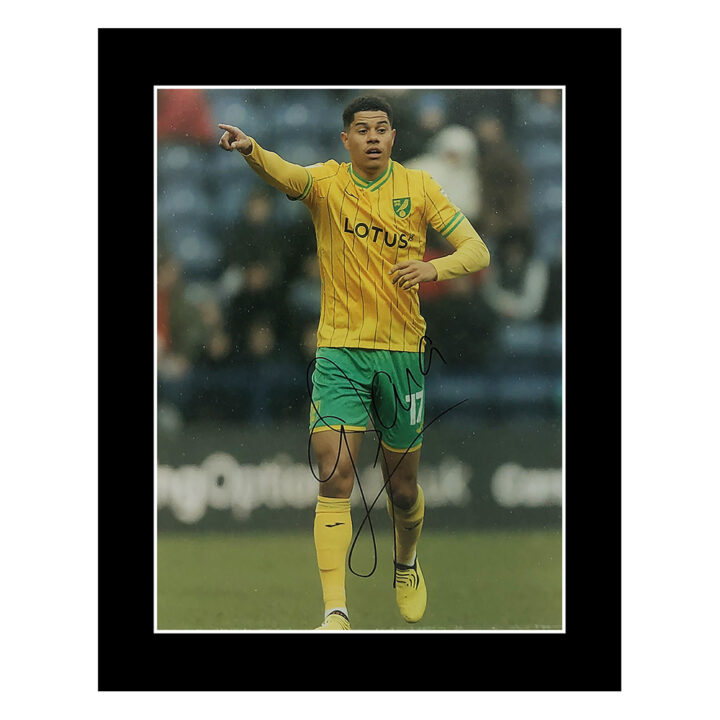 Signed Gabriel Sara Photo Display - 12x10 Norwich City Icon