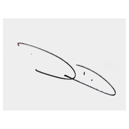 Signed Karl Darlow White Card - Newcastle United Autograph